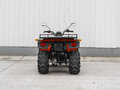 2025 VLTMoto DL250AU, оранжевый, 299000 рублей - вид 5