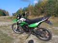 2023 Racer Panther, зелёный, 115000 рублей - вид 3