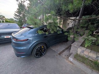 2019 Porsche Cayenne Turbo III, голубой, 11400000 рублей, вид 4