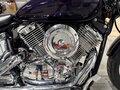1999 Yamaha XVS1100, фиолетовый, 650000 рублей - вид 2