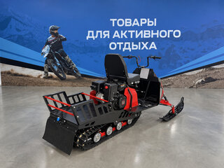 2026 Другие Снегоходы (другие), чёрный, 208100 рублей, вид 5