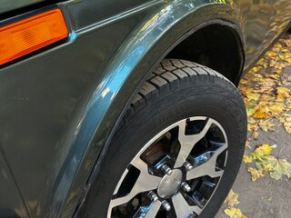 2010 Lada (ВАЗ) 2131 (4x4) I, зелёный, 500000 рублей, вид 5