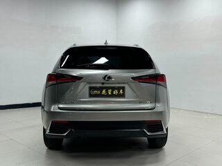 2021 Lexus NX 200 I Рестайлинг, серый, 2340000 рублей, вид 5
