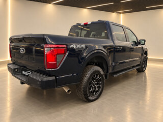2025 Ford F-150 XIV Рестайлинг, синий, 5960661 рублей, вид 5