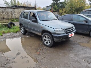 2006 Chevrolet Niva I, серый, 320000 рублей, вид 2