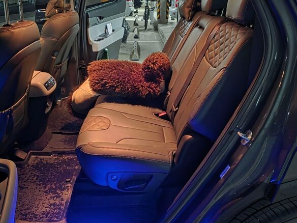2021 Hyundai Palisade I, серый - вид 13