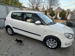 2010 Skoda Fabia II Рестайлинг, белый, 500000 рублей, вид 4