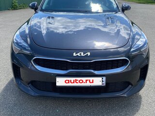 2021 Kia Stinger I Рестайлинг, серый, 2527000 рублей, вид 3
