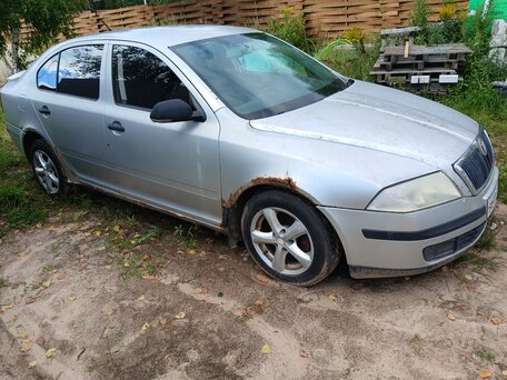 2005 Skoda Octavia II (A5), серый, 290000 рублей, вид 2