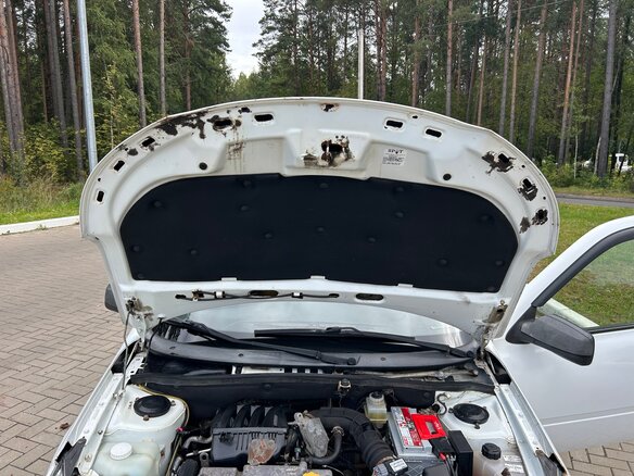 2015 Datsun mi-DO, белый, 310000 рублей - вид 14