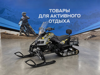 2026 Другие Снегоходы (другие), чёрный, 250300 рублей, вид 2
