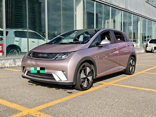2024 BYD Dolphin 44.9 kWh I, розовый, 1240000 рублей, вид 1
