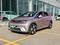 2024 BYD Dolphin 44.9 kWh I, розовый, 1240000 рублей