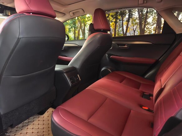 2021 Lexus NX 200 I Рестайлинг, серый, 2543000 рублей - вид 17