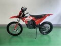 2024 JHL ELX300, красный, 173000 рублей - вид 10