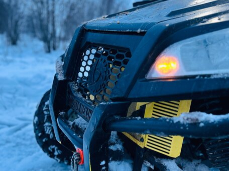 2019 Русская Механика (RM) РМ 800 UTV, чёрный, 750000 рублей, вид 5