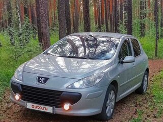 2007 Peugeot 307 I Рестайлинг, серый, 450000 рублей, вид 3