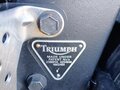 1994 Triumph Tiger 900, синий, 535000 рублей - вид 6
