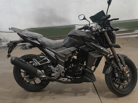 2023 Regulmoto T-Leopard 300, чёрный, 245000 рублей, вид 3