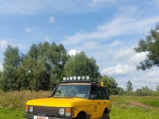 1985 Land Rover Range Rover I, жёлтый, 650000 рублей, вид 5