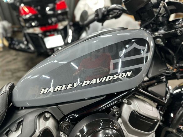 2023 Harley-Davidson Nightster, серый, 920000 рублей - вид 10