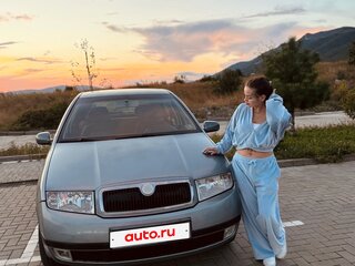 2001 Skoda Fabia I, синий, 260000 рублей, вид 1