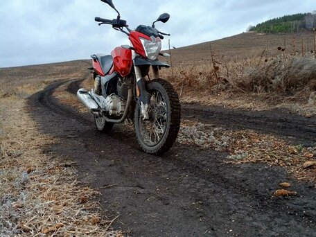 2014 Zongshen Mirage 150, красный, 110000 рублей, вид 2