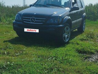 2003 Mercedes-Benz M-Класс 350 I (W163) Рестайлинг, чёрный, 750000 рублей, вид 1