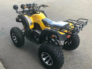 2025 Raptor MAX PRO 250, жёлтый, 231900 рублей, вид 3
