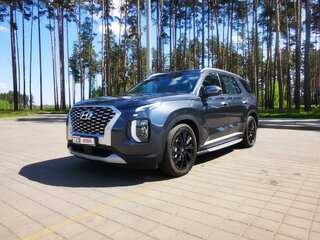 2020 Hyundai Palisade I, синий, 4405000 рублей, вид 2