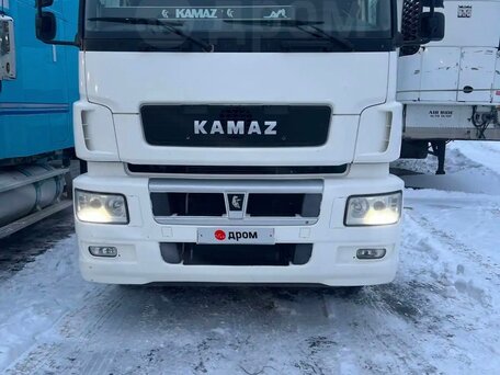 2020 КамАЗ 65209, белый, 4950000 рублей, вид 1