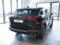2026 Haval F7 II, чёрный - вид 3