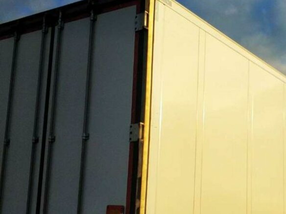 2017 Schmitz Cargobull SKO, белый, 5999999 рублей - вид 26