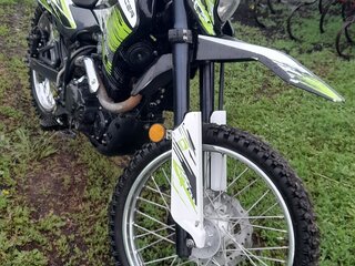 2020 Racer Panther, зелёный, 120000 рублей, вид 4