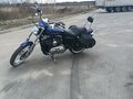 2007 Harley-Davidson Sportster 1200, синий, 635000 рублей - вид 8