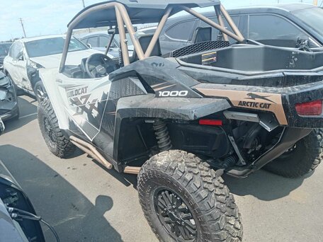 2023 Arctic Cat Wildcat, белый, 2152922 рублей, вид 2