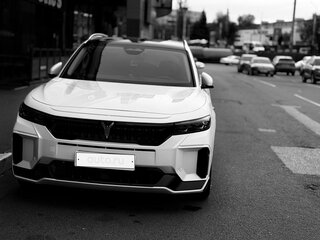 2024 Voyah Free 318 I Рестайлинг, белый, 3700000 рублей, вид 2