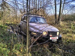 2010 ТагАЗ Tager, бежевый, 390000 рублей, вид 4