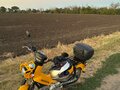 2023 Honda Cross Cub, жёлтый, 310000 рублей