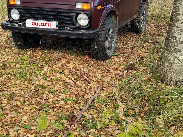2010 Lada (ВАЗ) 2121 (4x4) I Рестайлинг, пурпурный, 400000 рублей - вид 2