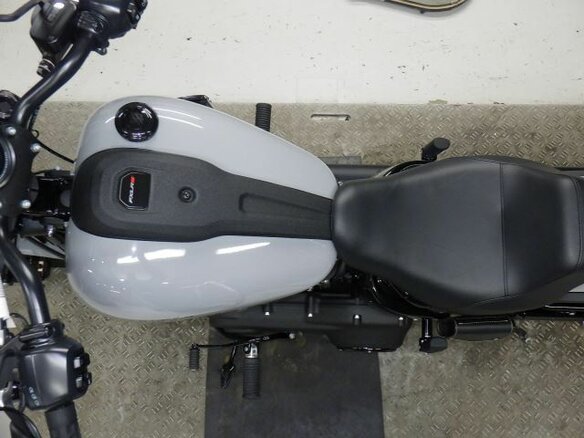 2022 Harley-Davidson Low Rider, серый, 2050000 рублей - вид 9