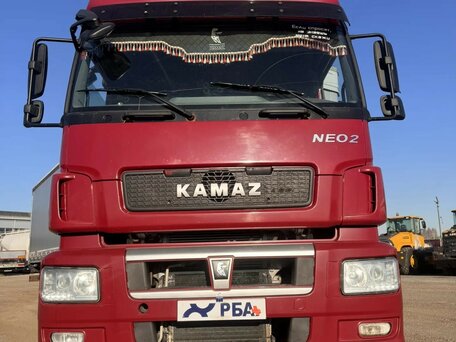2022 КамАЗ 5490 NEO, пурпурный, 4490000 рублей, вид 2