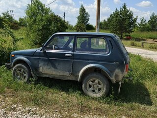 2006 Lada (ВАЗ) 2121 (4x4) I Рестайлинг, зелёный, 200000 рублей, вид 1