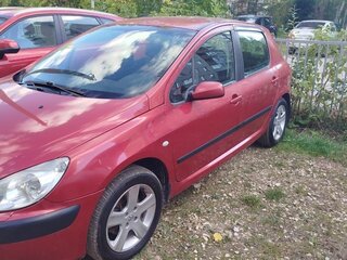 2003 Peugeot 307 I, красный, 290000 рублей, вид 4