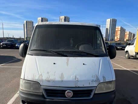 2012 Fiat Professional Ducato, белый, 900000 рублей, вид 2
