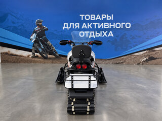 2026 Wels 200RS, белый, 184700 рублей, вид 5