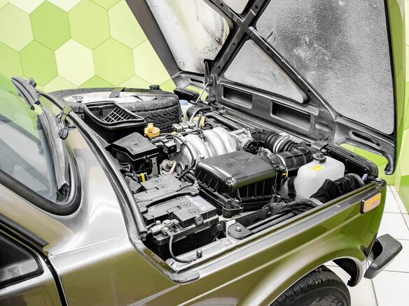2020 Lada (ВАЗ) 2121 (4x4) I Рестайлинг (2020), коричневый - вид 19