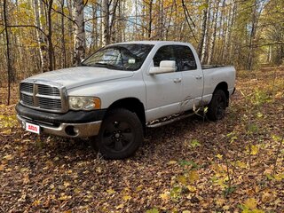 2002 Dodge RAM III (DR/DH), белый, 2200000 рублей, вид 3