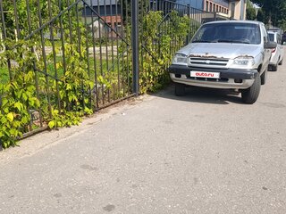 2004 Chevrolet Niva I, серебристый, 220000 рублей, вид 1