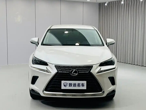 2020 Lexus NX 200 I Рестайлинг, белый, 2755000 рублей - вид 1